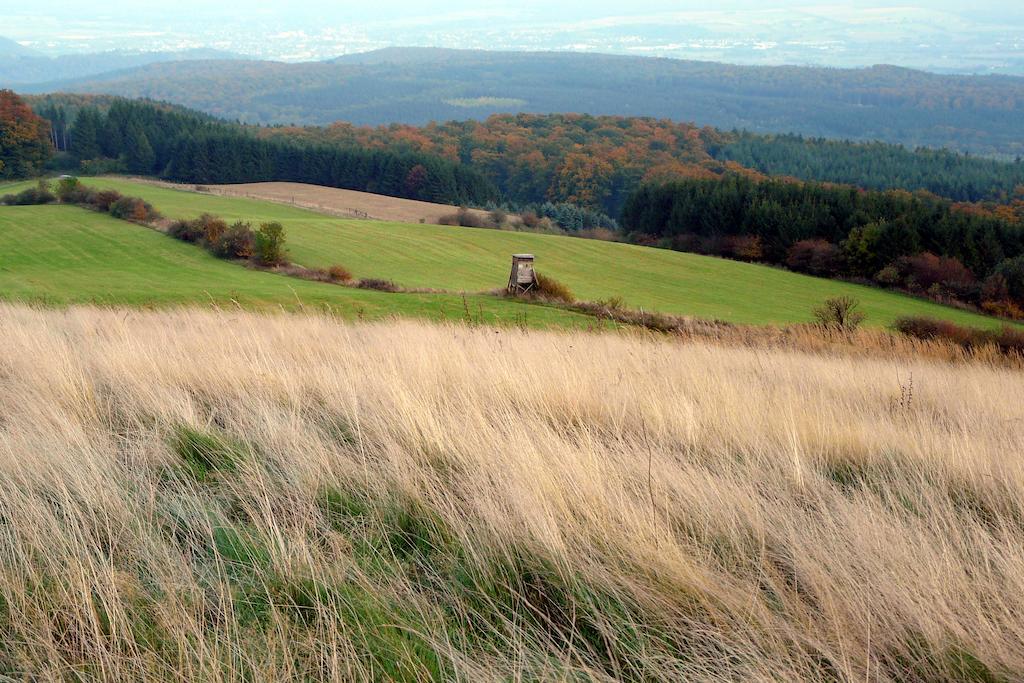 Gaestehaus Am Raeuschenberg Höxter Exteriér fotografie